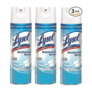 Lysol Disinfectant Spray 538g (Big Size)