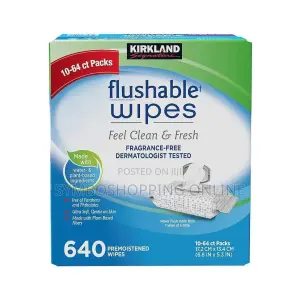 Kirkland Signature Moist Flushable Wipes - 640 Count