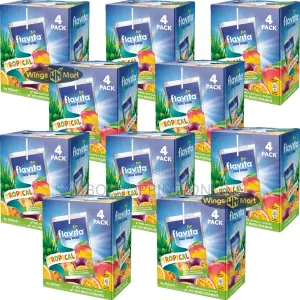 Flavita Mango Juice Drink