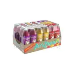 Arizona Juice Variety Pack - 591ml X 24